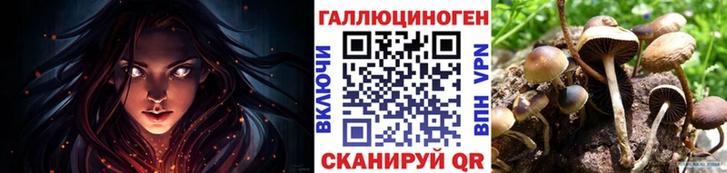 Псилоцибиновые грибы GOLDEN TEACHER  МЕГА зеркало  Кушва 